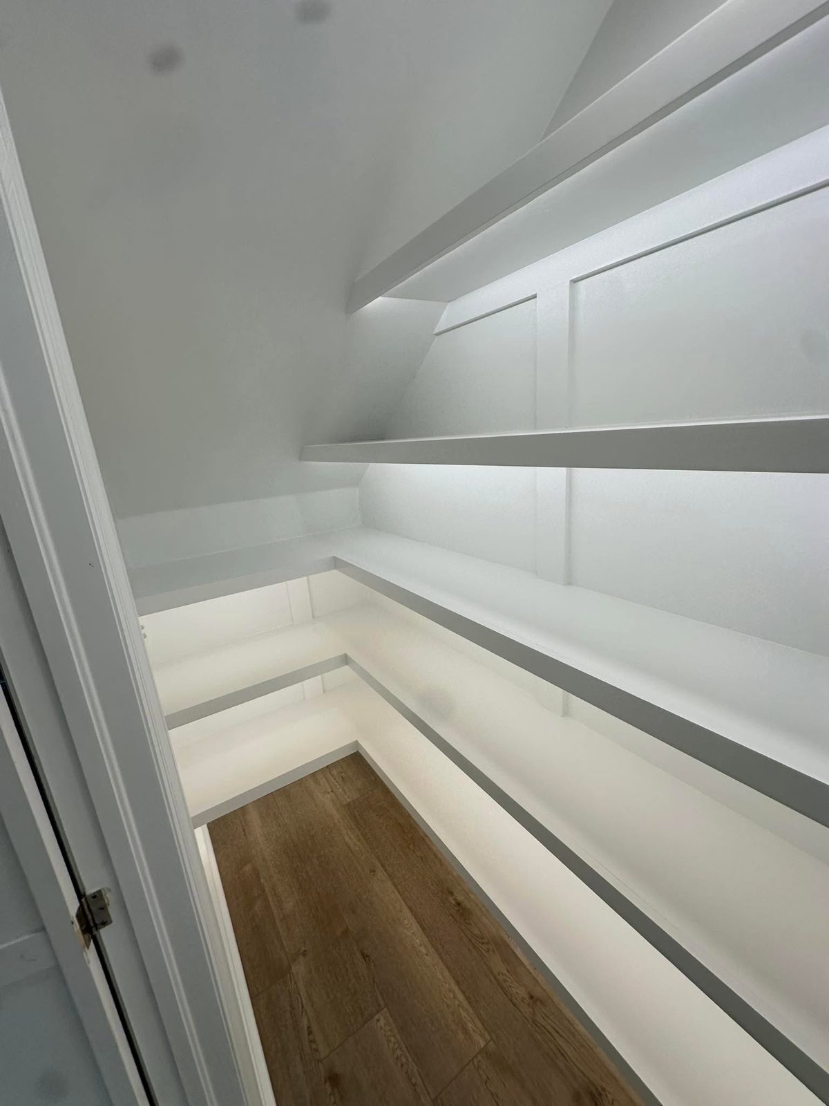 Custom built-in pantry